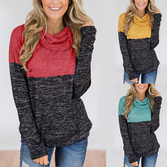 Color block turtleneck sweater